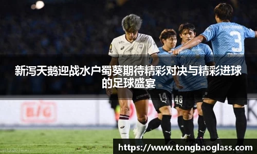 BG大游
